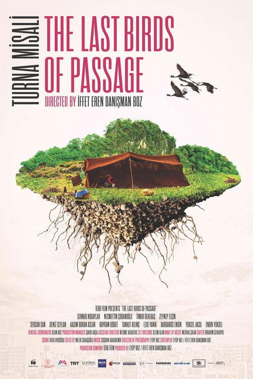 The Last Birds of Passage 2021 official movie poster
