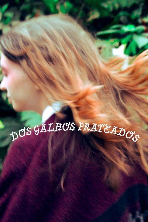 Dos Galhos Prateados 2023 official movie poster