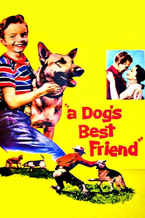 A Dog's Best Friend 1959 official movie poster