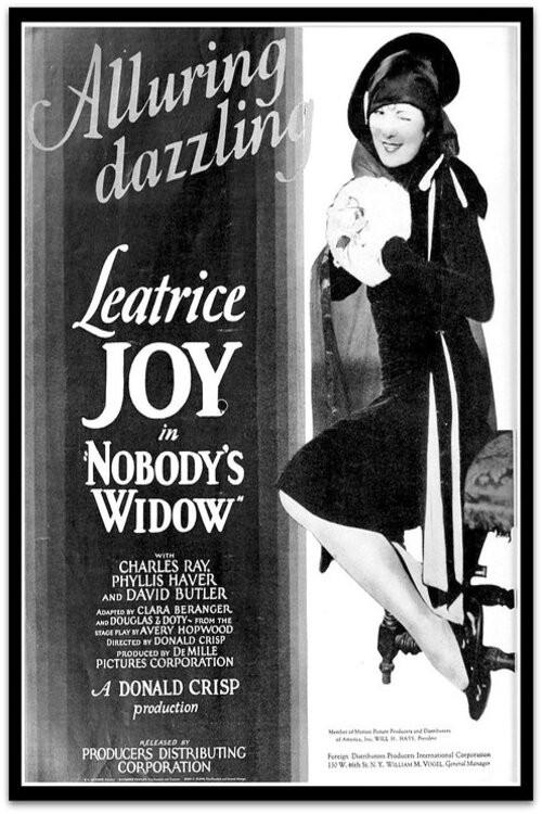Nobody's Widow 1927 official movie poster