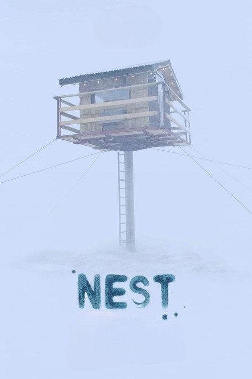 Nest 2022 official movie poster