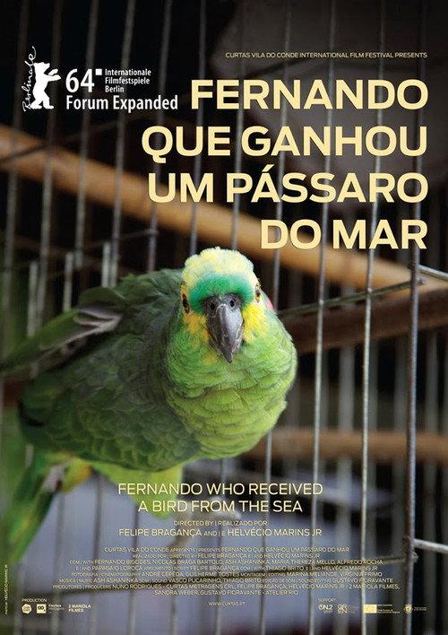 Fernando Who Received a Bird from the Sea 2014 official movie poster