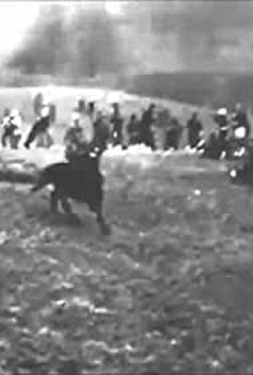 Battle of Mafeking 1900 official movie poster