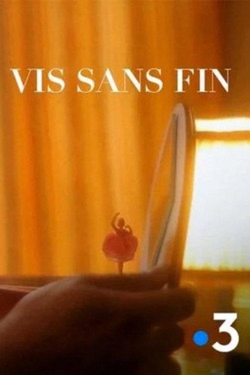 Vis sans fin 2012 official movie poster