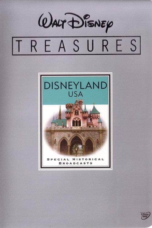 Walt Disney Treasures - Disneyland USA 2001 official movie poster
