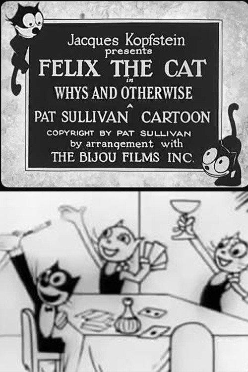 Whys and Otherwise 1927 official movie poster