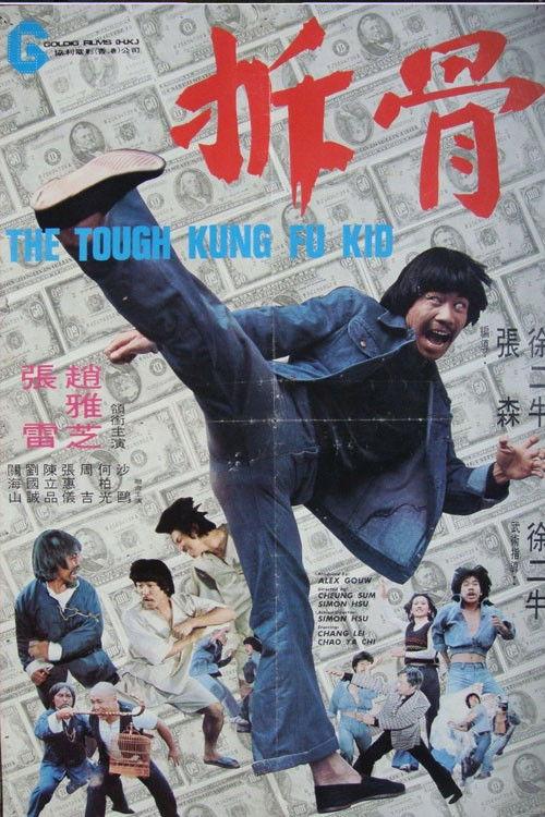 The Tough Kung Fu Kid 1978 official movie poster