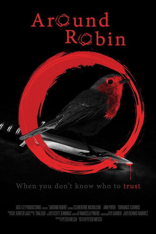 Around Robin 2021 official movie poster