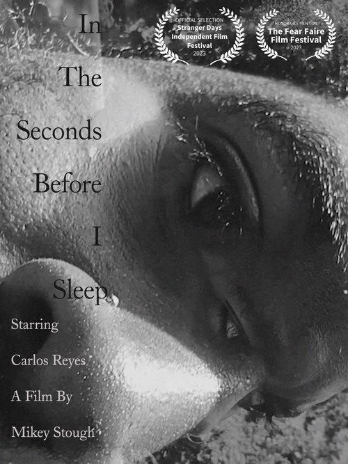 In the Seconds Before I Sleep 2023 official movie poster