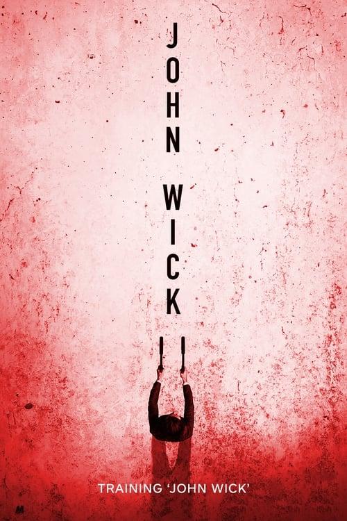 Training 'John Wick' 2017 official movie poster