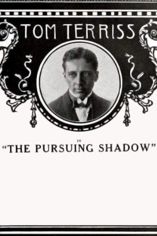 The Pursuing Shadow 1915 official movie poster