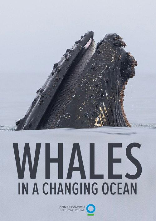 Whales in a Changing Ocean 2021 official movie poster