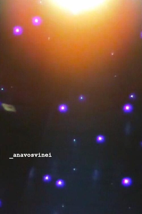 _anavosvinei 2023 official movie poster
