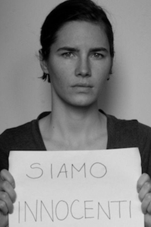 The Amanda Knox Saga 2014 official movie poster