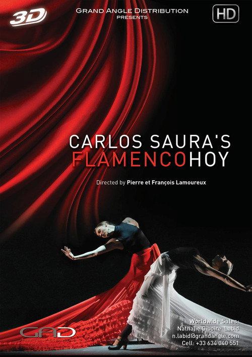 Carlos Saura's FlamencoHoy 2013 official movie poster