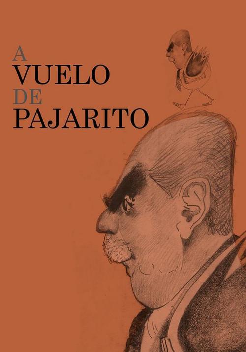 A vuelo de pajarito 2014 official movie poster