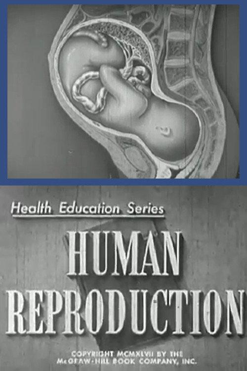 Human Reproduction 1947 official movie poster