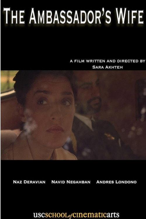 The Ambassador's Wife 2009 official movie poster