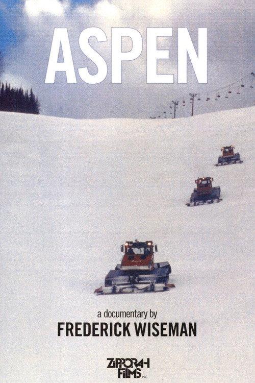 Aspen 1991 official movie poster