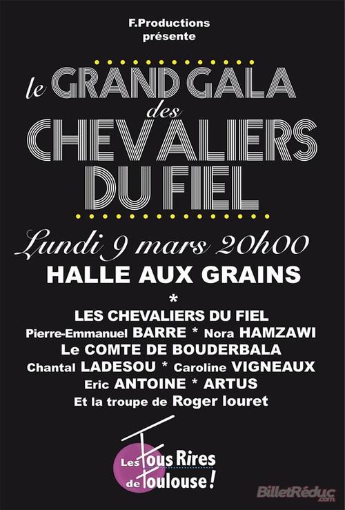 Le grand gala des Chevaliers du Fiel 2015 official movie poster