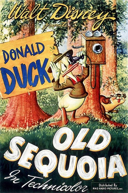 Old Sequoia 1945 official movie poster