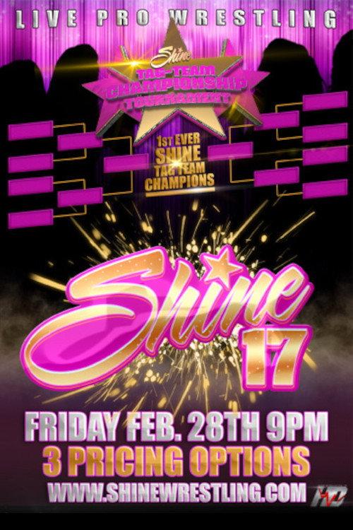SHINE 17 2014 official movie poster