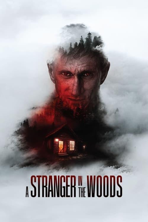 A Stranger in the Woods 2024 official movie poster