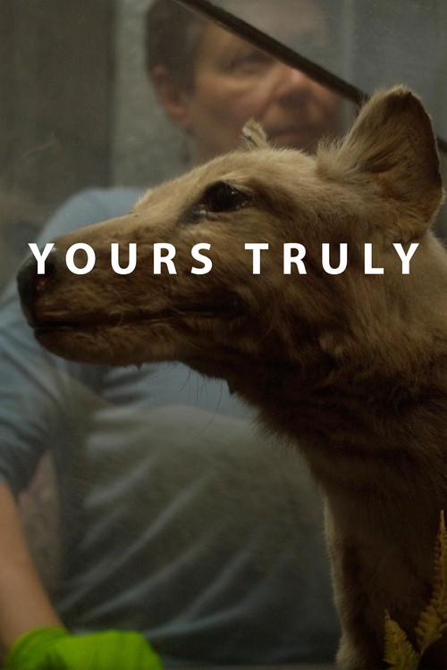 Yours Truly 2018 official movie poster
