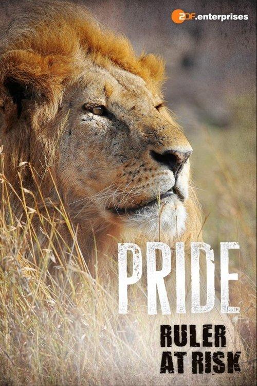 Pride Ruler at Risk 2016 official movie poster