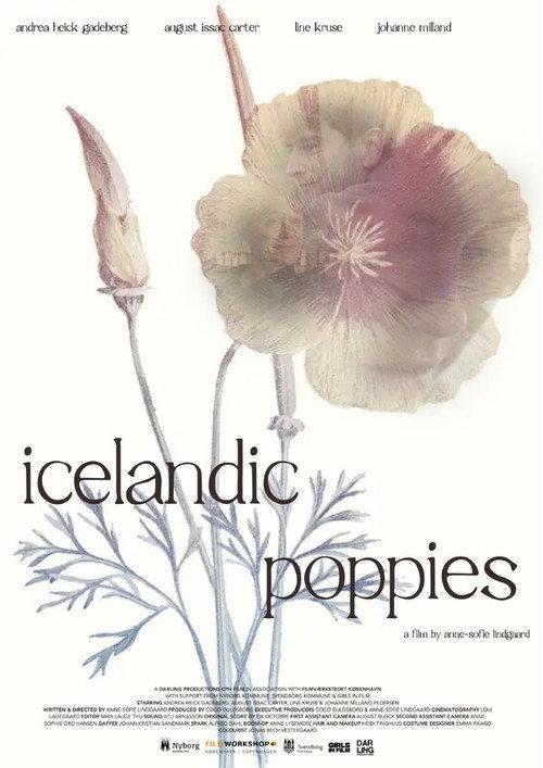 Icelandic Poppies 2023 official movie poster