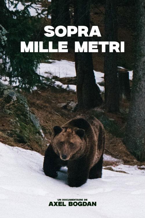 Sopra Mille Metri 2026 official movie poster