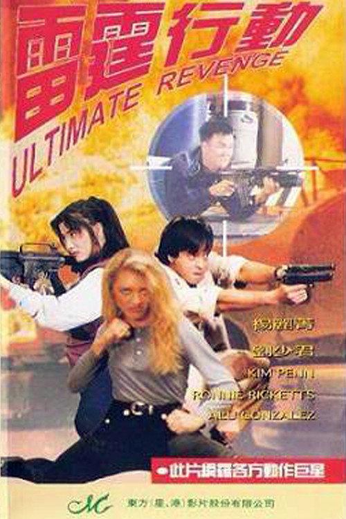 Ultimate Revenge 1995 official movie poster