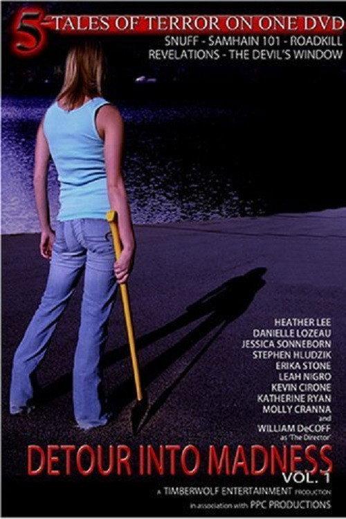 Detour Into Madness Vol 1. 2005 official movie poster