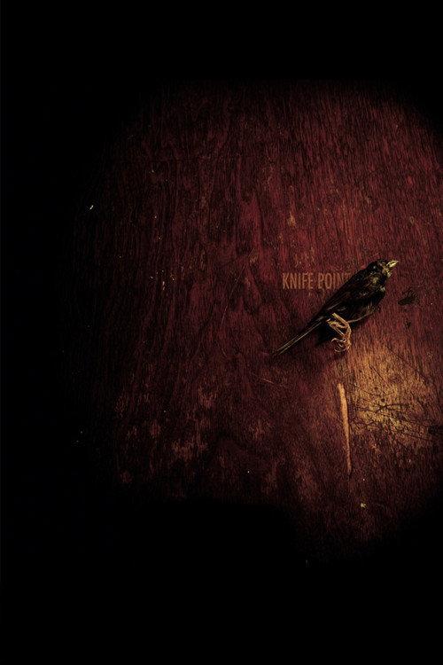 Knife Point 2009 official movie poster