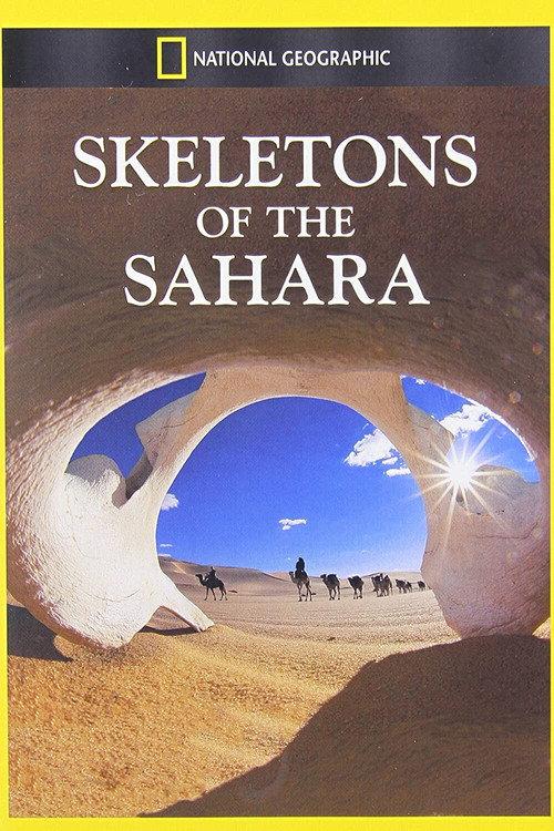 Skeletons of the Sahara 2013 official movie poster