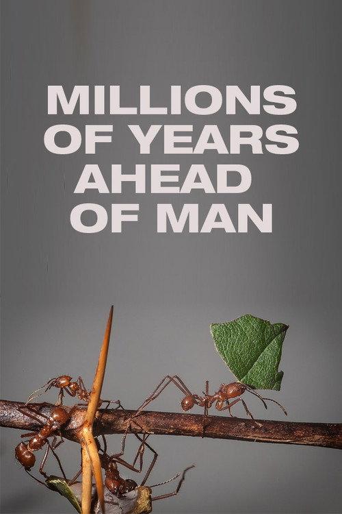 Millions of Years Ahead of Man 1975 official movie poster