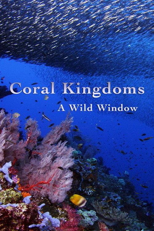 A Wild Window: Coral Kingdoms 2016 official movie poster