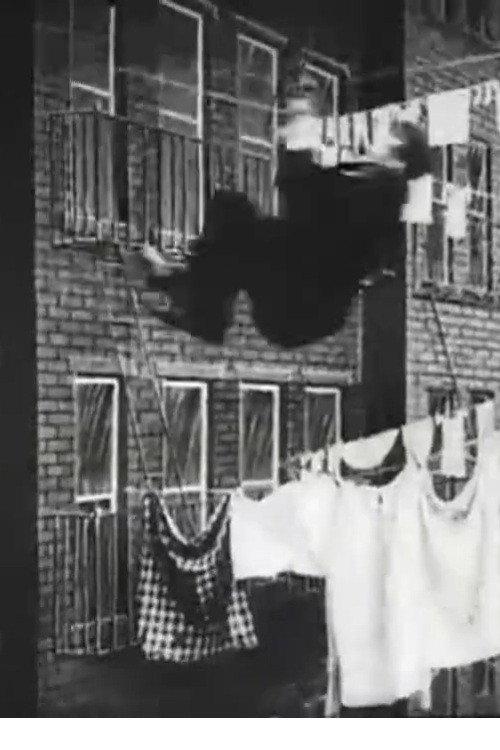 The Burglar's Slide for Life 1905 official movie poster