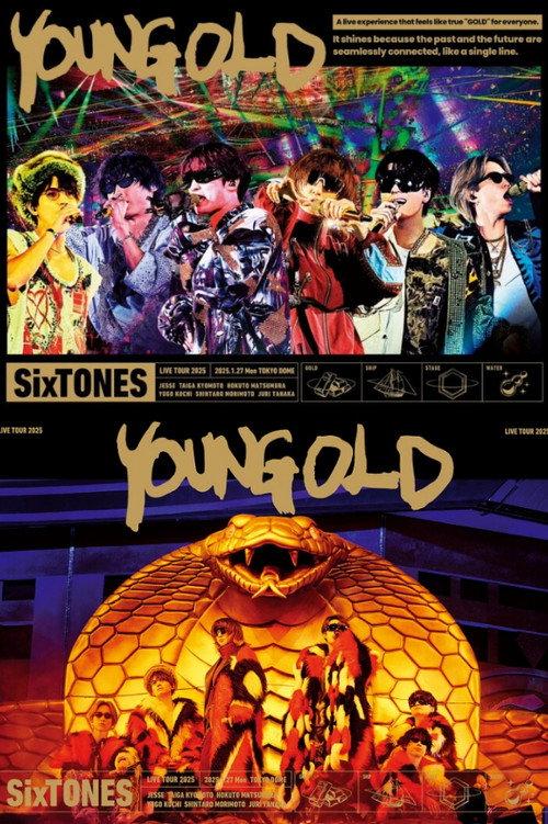 YOUNG OLD 2025 official movie poster