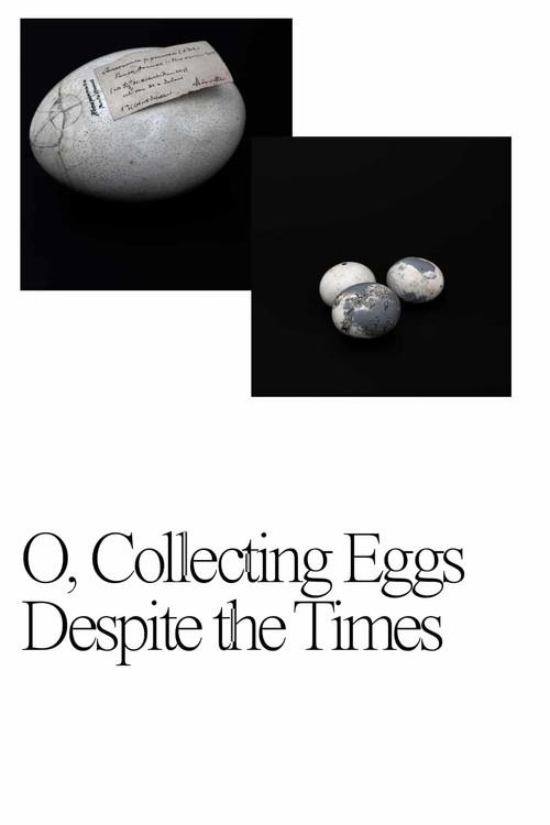 O, Collecting Eggs Despite the Times 2021 official movie poster