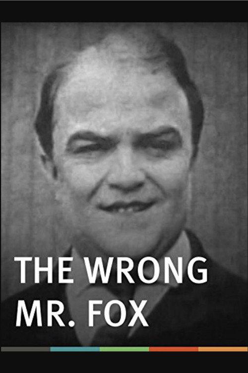 The Wrong Mr. Fox 1917 official movie poster