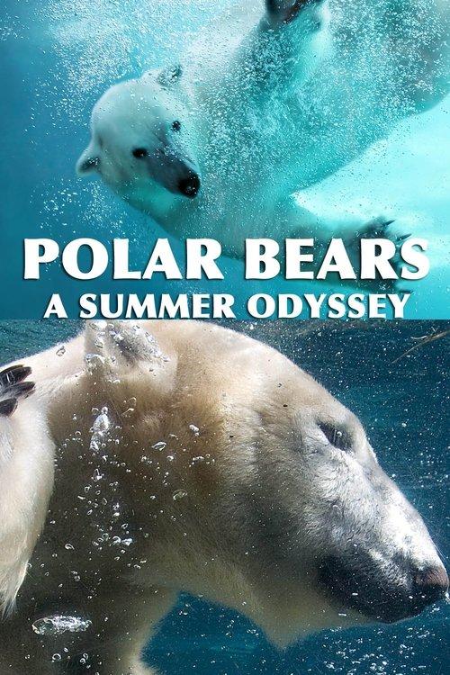 Polar Bears: A Summer Odyssey 2012 official movie poster