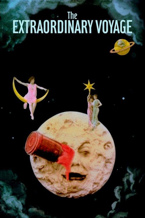 The Extraordinary Voyage 2011 official movie poster