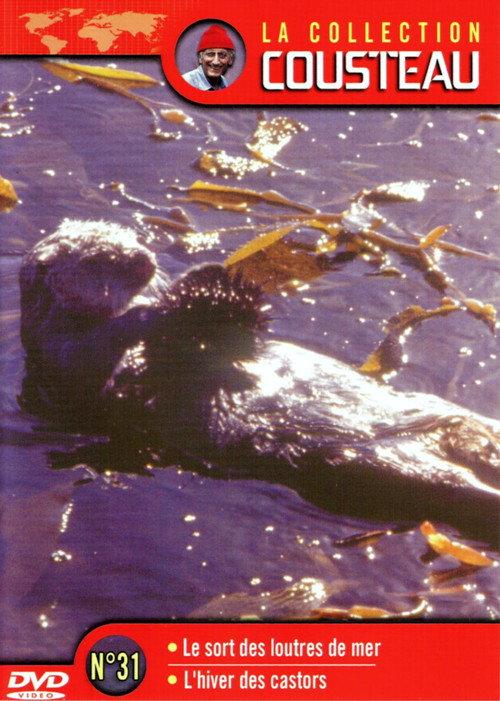 The Cousteau Collection N°31-1 | The Fate of Sea Otters 1971 official movie poster
