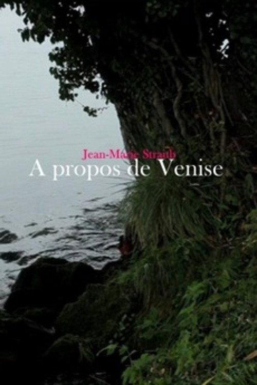 Concerning Venice 2014 official movie poster