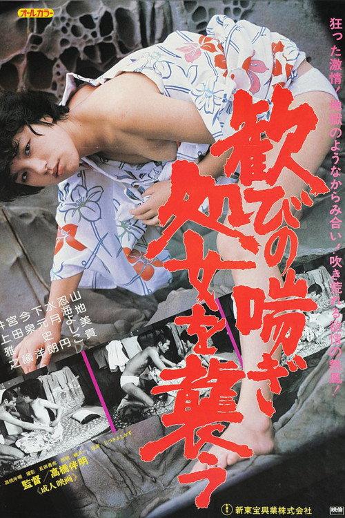 Craving Pleasure: Attack a Virgin 1981 official movie poster