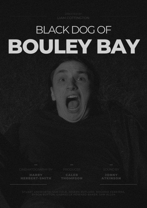 Black Dog of Bouley Bay 2022 official movie poster