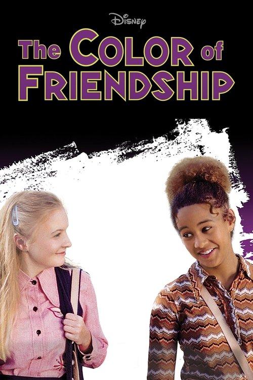 The Color of Friendship 2000 official movie poster
