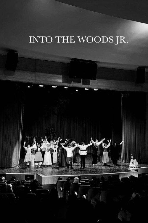 Into The Woods (AUS Productions) 2024 official movie poster