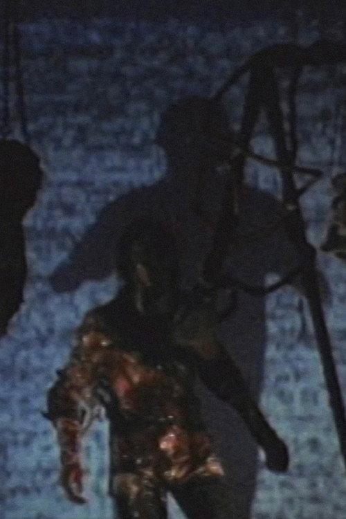 Skinny Puppy: Last Rights Archival Footage 2005 official movie poster